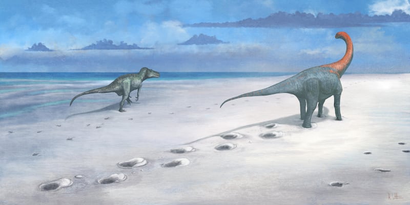 An artist reconstruction of how the Megalosaurus and Cetiosaurus may have created the footprints.