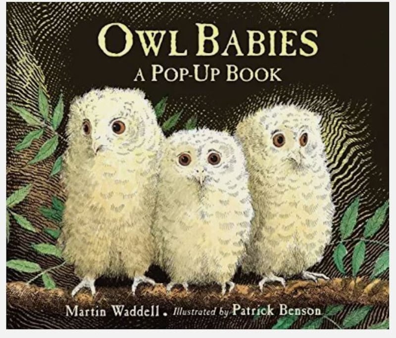 Owl Babies book cover