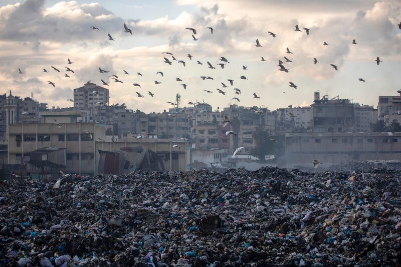 Birds fly over a pile of rubbish in Gaza City (Jehad Alshrafi/AP)