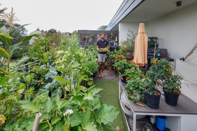 Balcony gardener Patrick Vernuccio