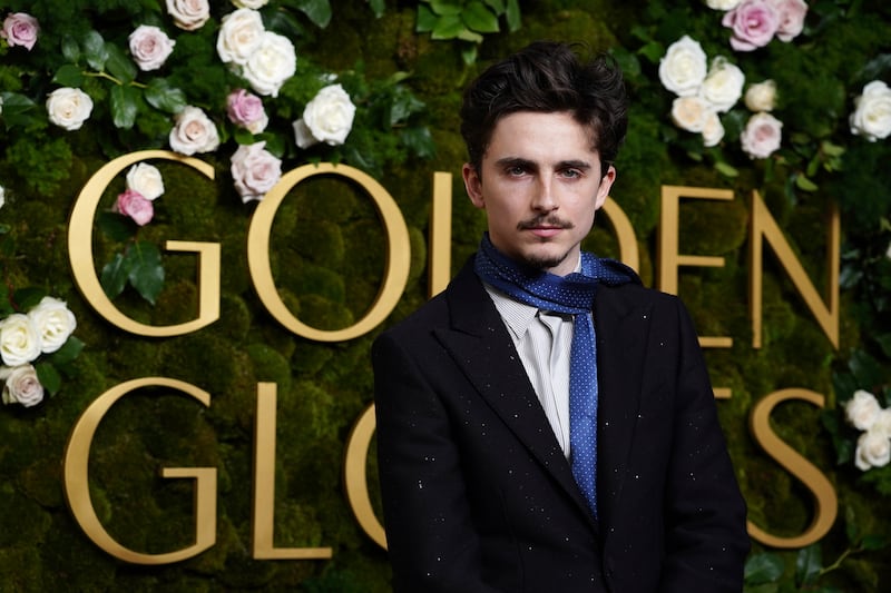 Timothee Chalamet at the Golden Globes (Jordan Strauss/Invision/AP)