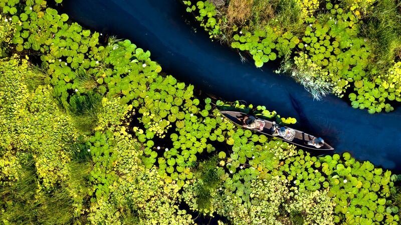 The Okavango Delta