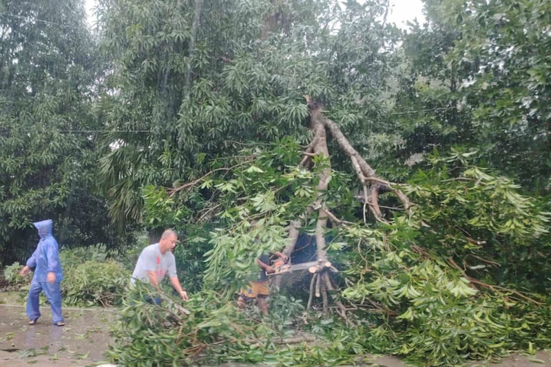 Workers clear a tree that fell due to strong winds from Typhoon Yinxing nin Lal-lo, Cagayan province, northern Philippines (LGU Lal-lo/AP)