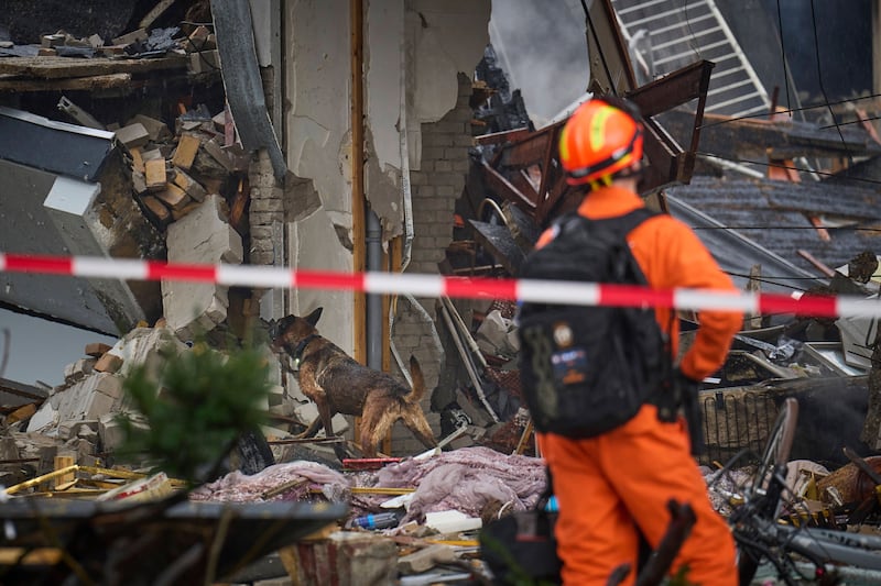 A search and rescue dog works amid the debris (Phil Nijhuis/AP)