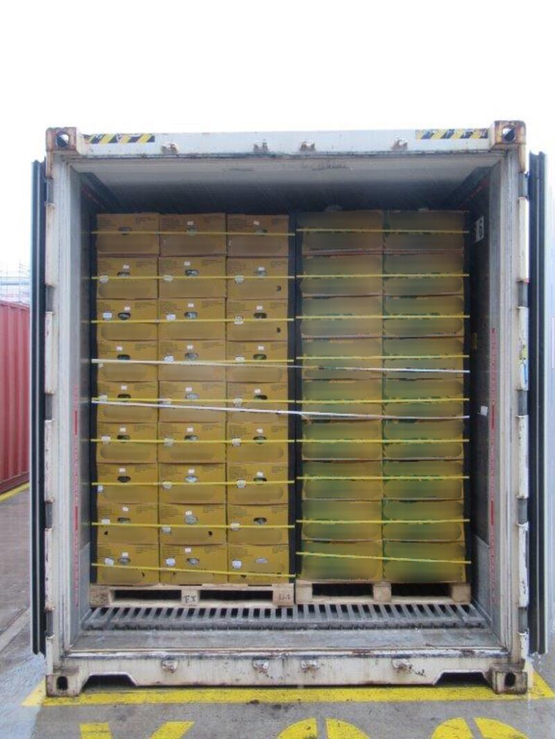 Largest ever UK haul of class A drugs found in shipment of bananas as Southampton Port