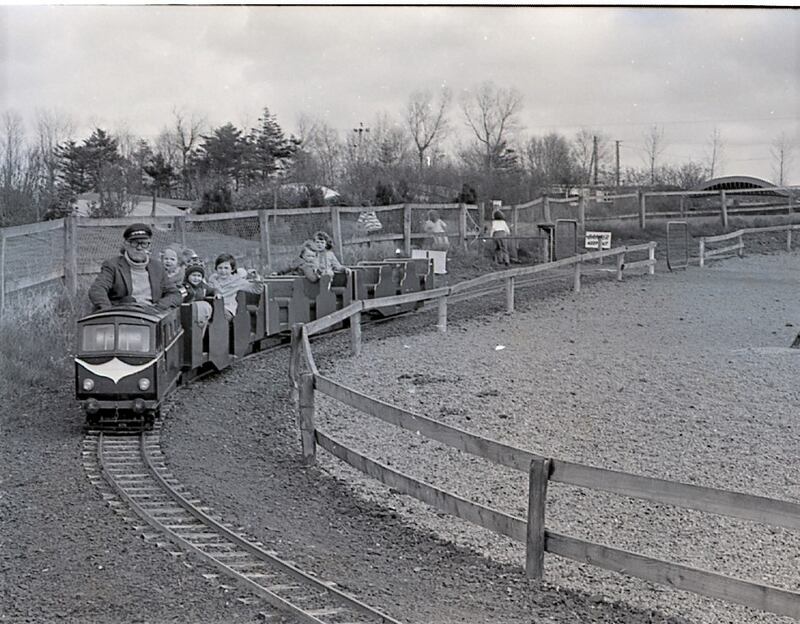 On the train at the Causeway Safari Park