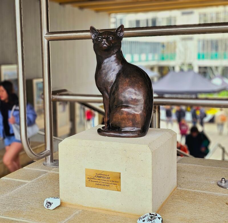 The statue of Pebbles the cat on campus at the University of Essex in Colchester.