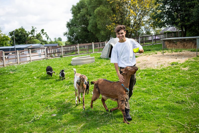 TikTok star Kyle Thomas playing with the animals in his Co Tyrone wildlife park and Sanctuary