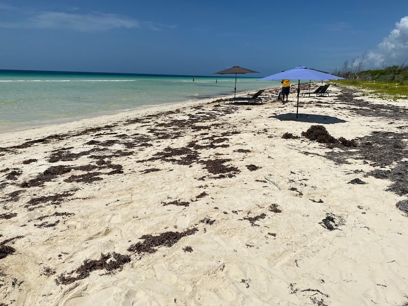 Deserted Gold Rock beach in Grand Bahama