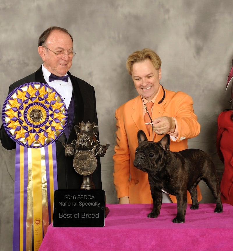 James Dalton who has been breeding French bulldogs with great success and a highly  respected judge with the American Kennel Club