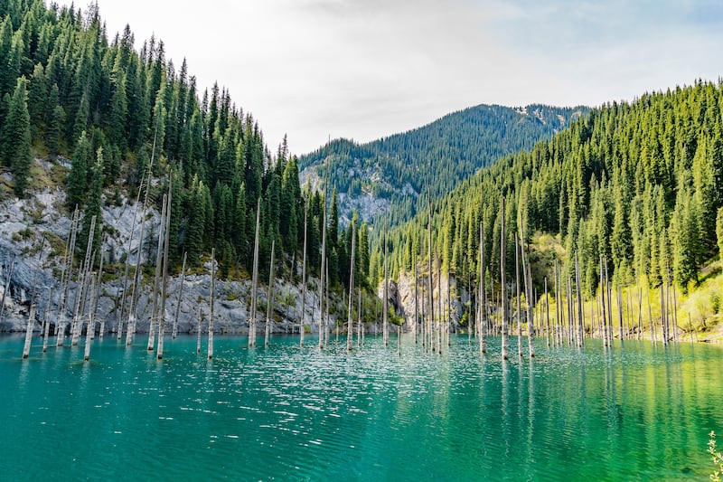 Saty Kaindy Sunken Forest Lake