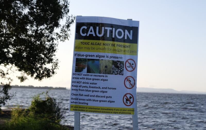  A sign warning of algae dangers at Lough Neagh.