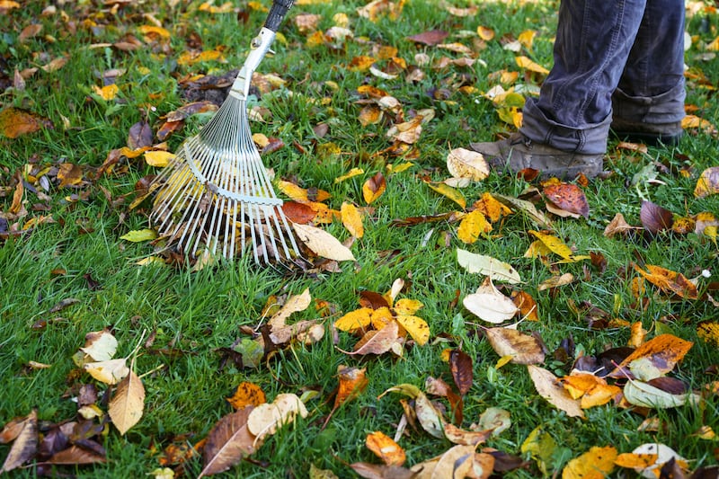 Clearing leaves is another job to tackle