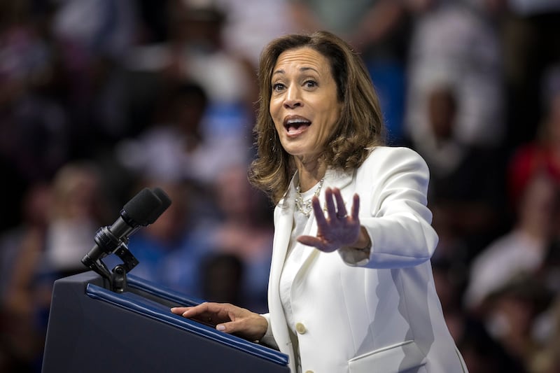 Democratic presidential nominee Vice President Kamala Harris (Stephen B Morton/AP)