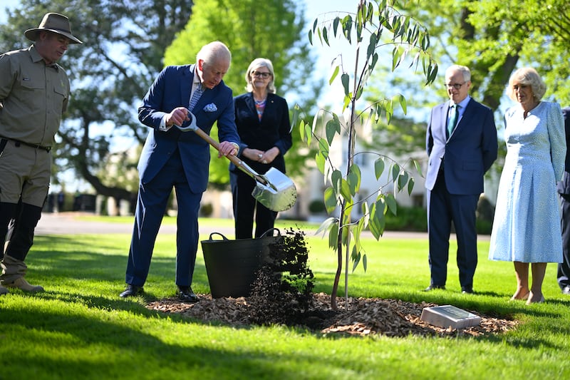 The King and Queen during the ceremonial planting of two snow gum eucalyptus trees in the garden of Government House in Canberra