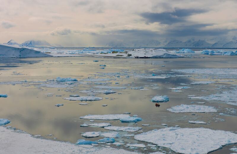 Sea ice in Marguerite Bay on the west side of the Antarctic Peninsula (BAS)