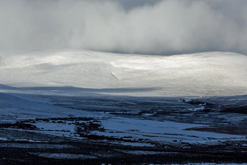 The Cairngorms is home to 85% of the UK’s population of capercaillie .