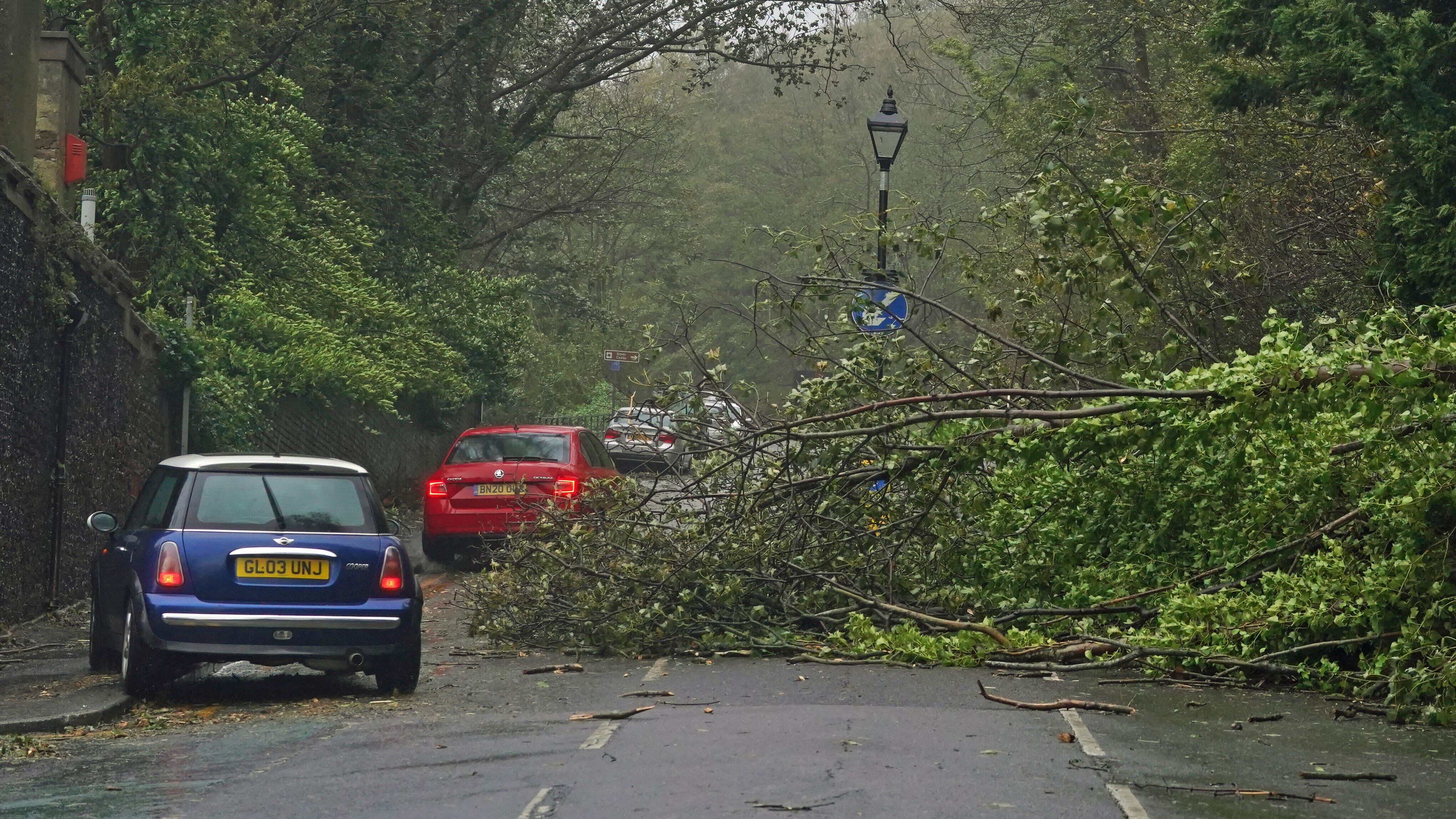 Cars pass a fallen tree in Dover, Kent, as Storm Ciaran brings high winds and heavy rain along the south coast of England (Gareth Fuller/PA)