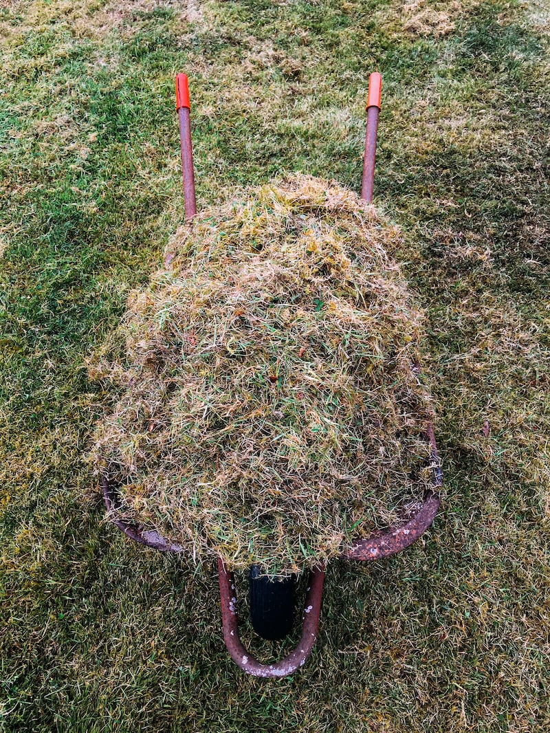 Lawn thatch can be a problem