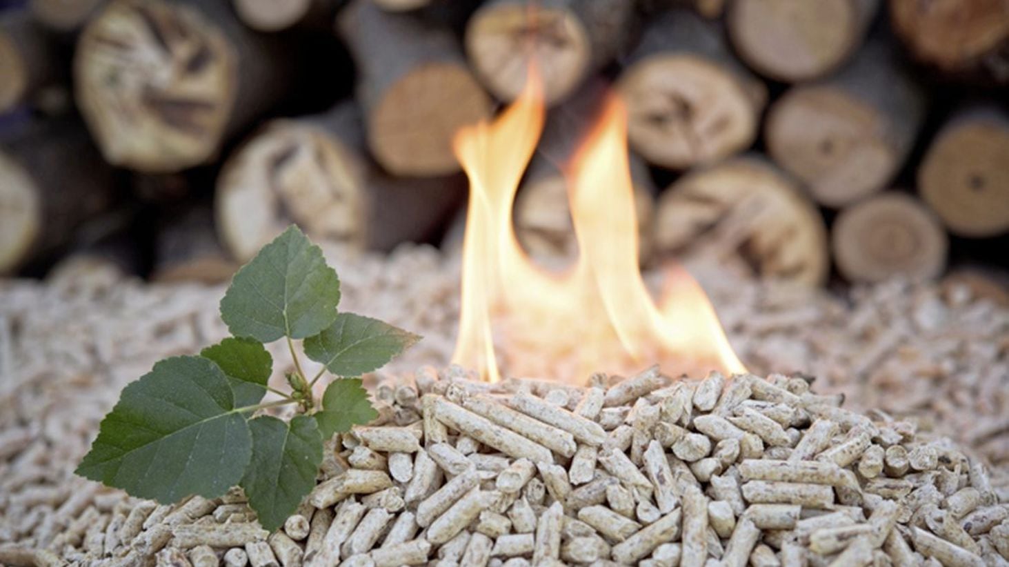 More than a dozen companies and other bodies warned of the need for cost controls in the RHI scheme before it was launched 