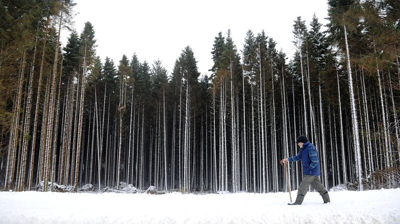 Don Clegg 80, enjoys a walk in Kielder Forest, Northumberland, following heavy overnight snow