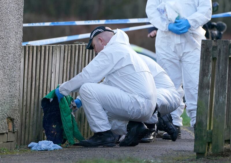 Forensic officers comb the area