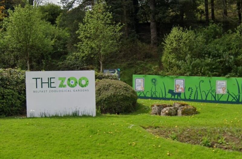 Belfast Zoo, located in the Cavehill area north of the city.