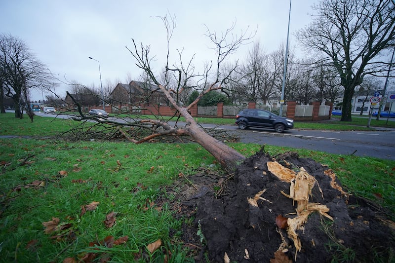 Storm Darragh swept across parts of the UK