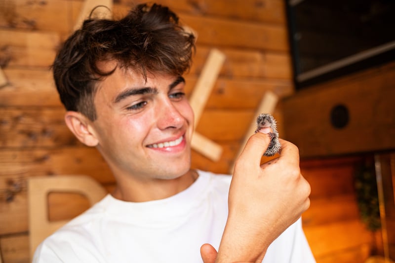 Lisburn's Kyle Thomas has always had a love of wildlife