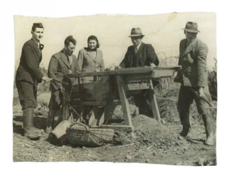 Ploughing at Millisle Farm