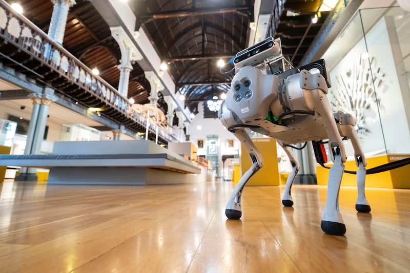 The RoboGuide,developed by researchers at the University of Glasgow’s James Watt School ofEngineering, explores the Hunterian during a testing session with volunteers fromthe Forth Valley Sensory Centre.