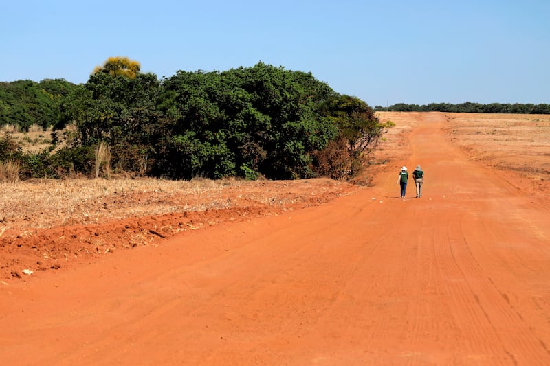 The scientists Ben Hur Marimon Junior and Beatriz Schwantes Marimon stand atthe official border where the Amazon transitions to the Cerrado in Mato Grosso, Brazil but is now a soy farm. (Suzie Hubbard/WWF-UK)