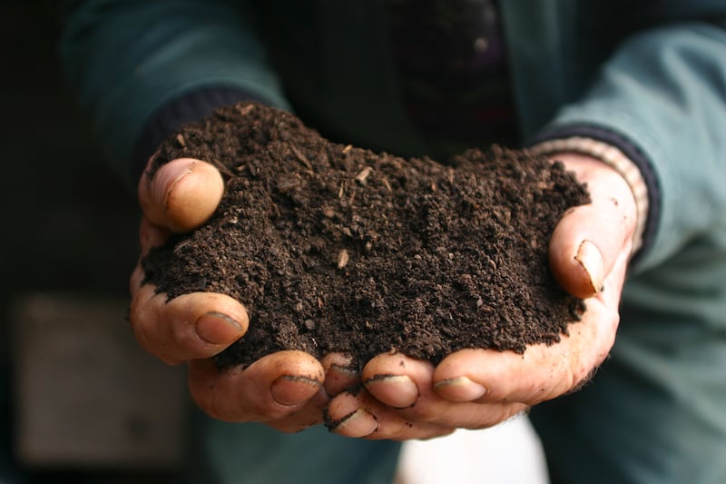 Home-made compost is preferable