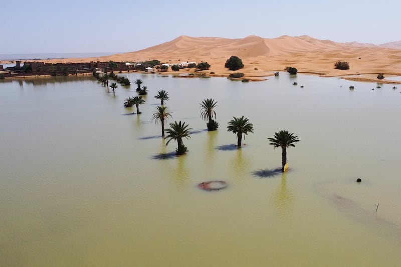 Palm trees flooded in a lake caused by heavy rain in the desert town of Merzouga in south-eastern Morocco (AP)