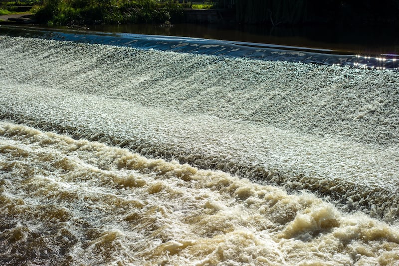 Salmon migration is affected by physical barriers such as weirs