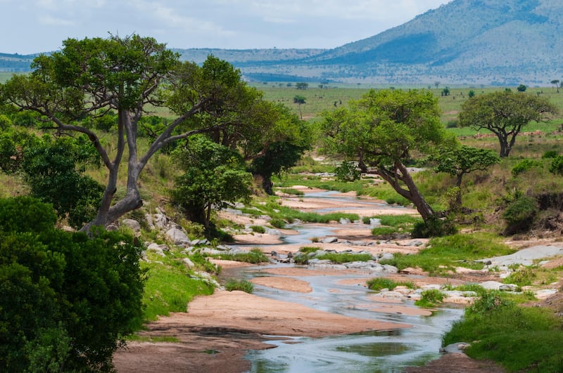 The Talek River