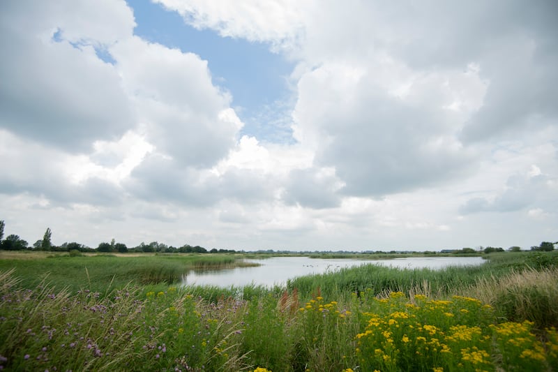 RSPB Ouse Fen Nature Reserve, Cambridgeshire.