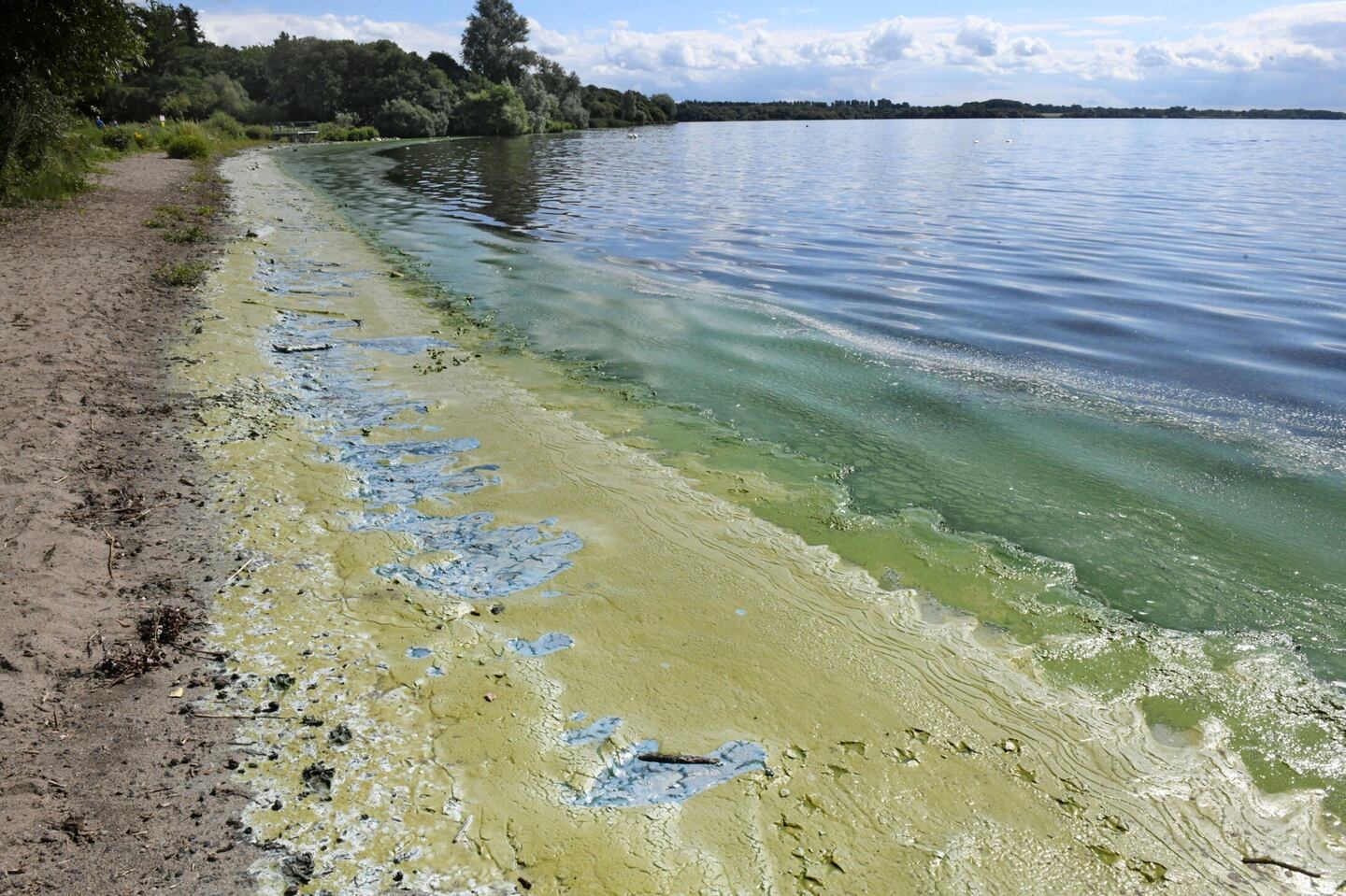 Officials: Toxic bacteria in Lough Neagh is worst ever recorded – The ...