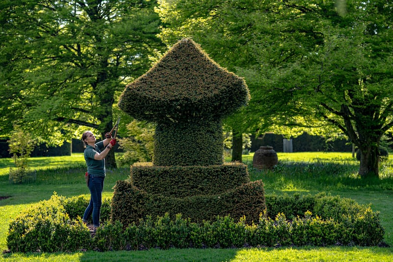 A gardener attends to a topiary bush at the King and Queen’s private residence in the gardens of Highgrove