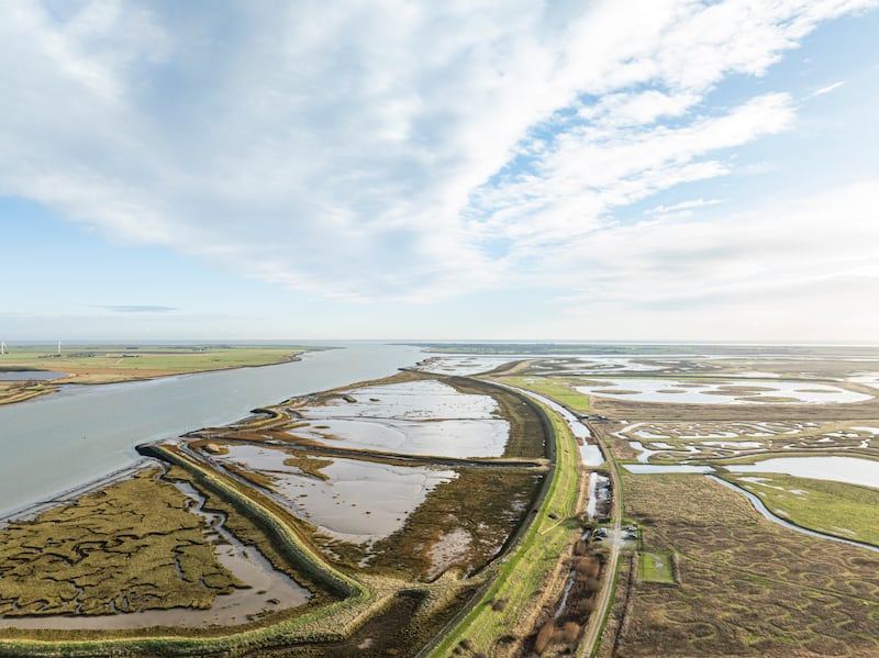 RSPB Wallasea Island Nature Reserve, Essex.