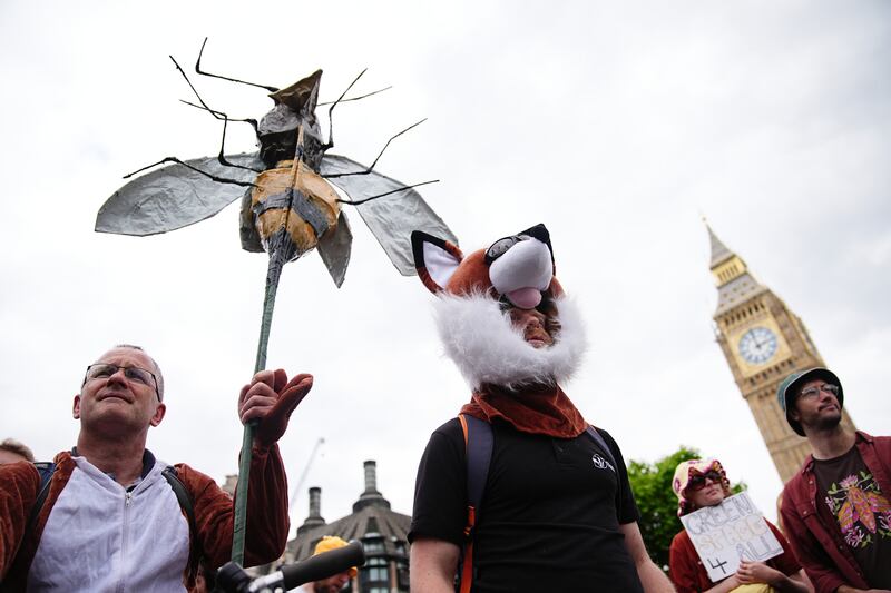 Colourful costumes and banners were out in force during the demo, which urged politicians to protect the environment