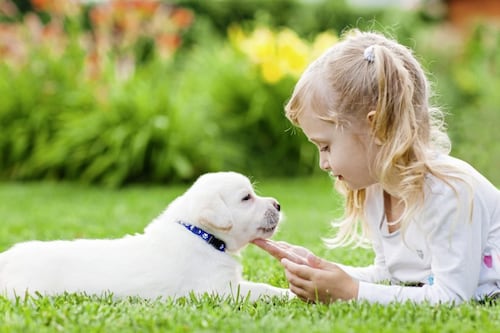 Marie Louise McConville: My children will not have any pets - and I don't feel one bit guilty 