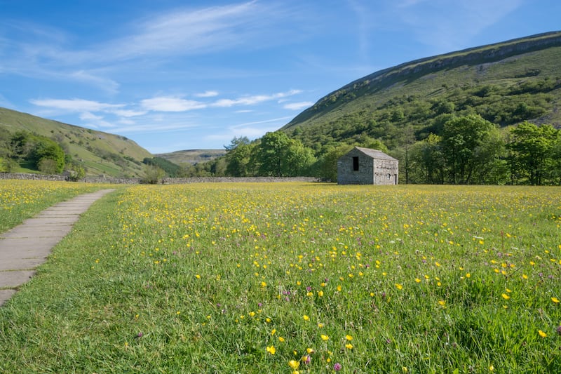 SSSIs are designated for features such as flower-rich grassland