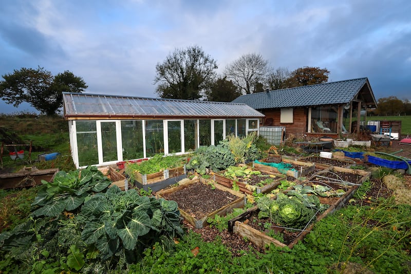 Paul Toner at his greenhouse at his home outside Crumlin, Antrim Council have told him to take down the greenhouse and existing garden sheds on the plot. PICTURE: MAL MCCANN