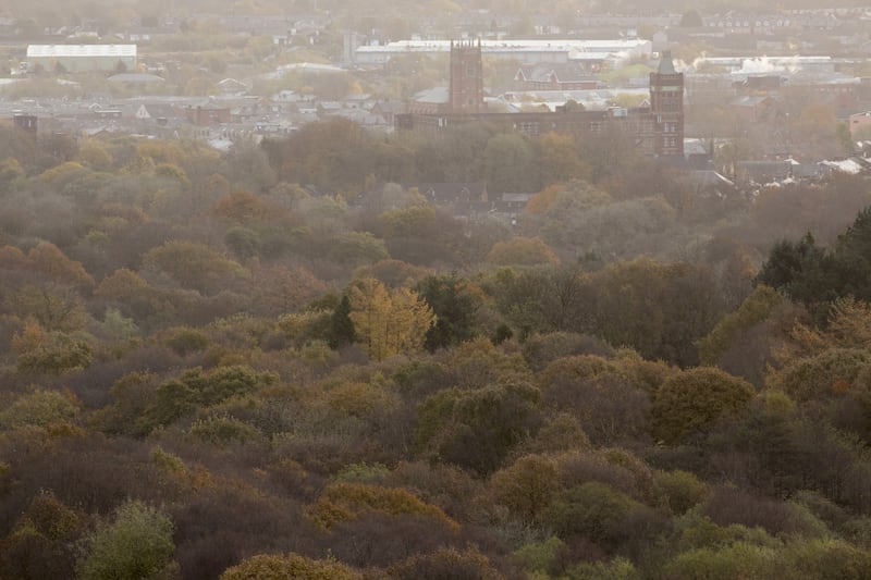 There are now 300,000 more households that are less than a 10-minute walk away from publicly accessible woodland