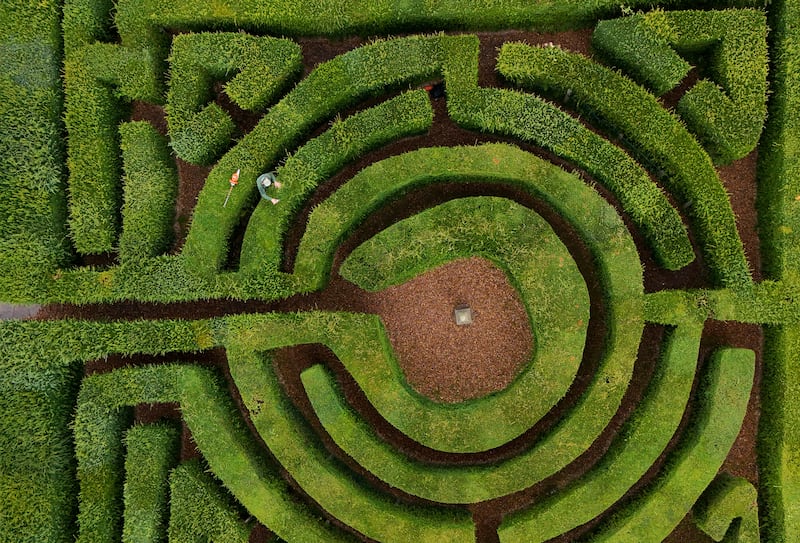 A gardener at Hever Castle works in the maze