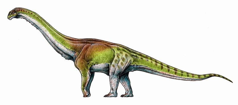 Patagotitan mayorum discovery.