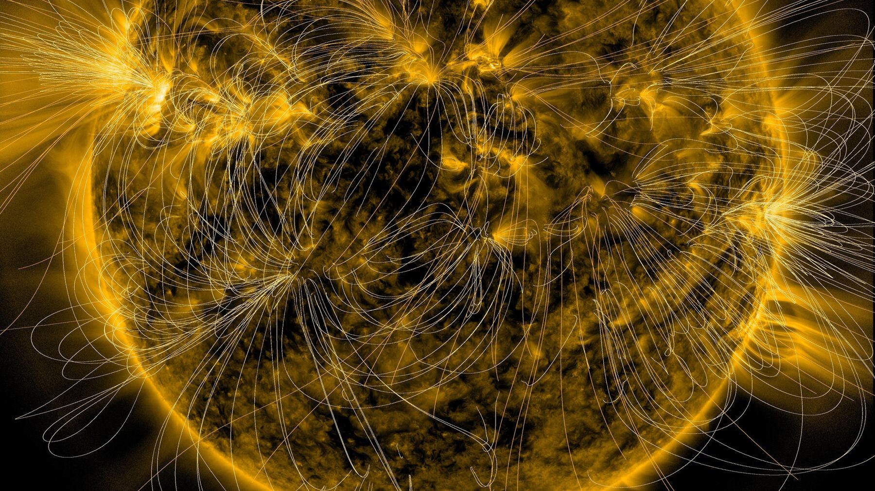 Illustration of the Sun’s magnetic fields over an image captured by Nasa’s Solar Dynamics Observatory (Nasa/SDO/AIA/LMSAL)