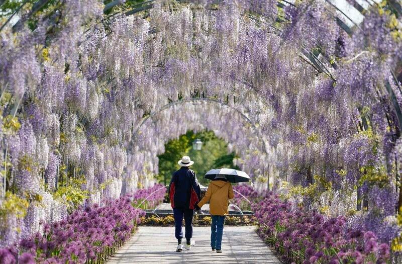 RHS Garden Wisley in Surrey