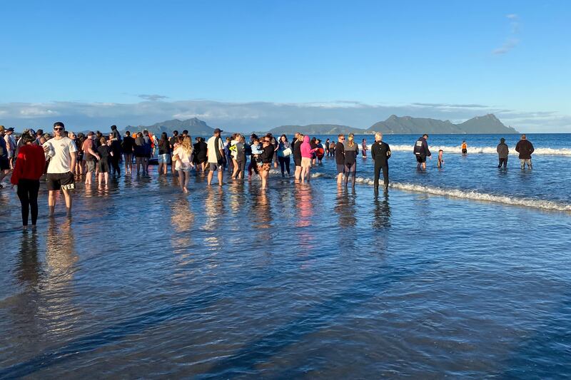 Rescuers stand in the water as they help refloat stranded pilot whales (Nikki Hartley/New Zealand Department Of Conservation via AP)